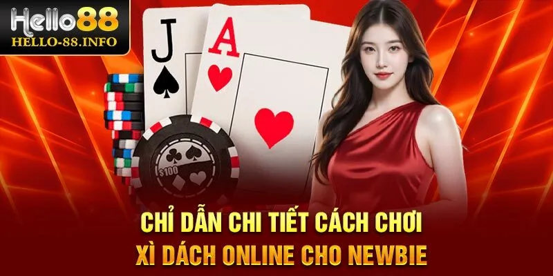 Chỉ dẫn chi tiết cách chơi xì dách online cho newbie