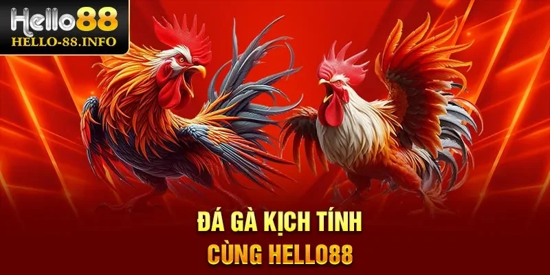 Đá gà kịch tính cùng Hello88