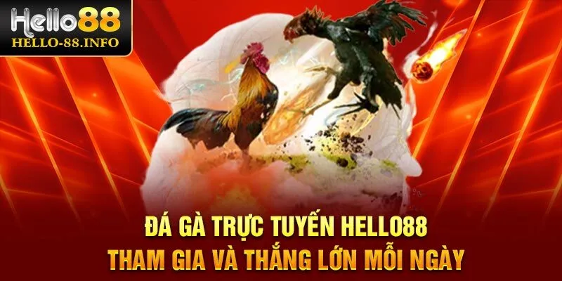 Đá Gà Trực Tuyến Hello88 – Tham Gia Và Thắng Lớn Mỗi Ngày