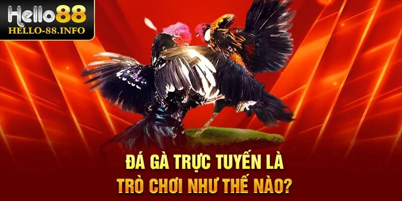 Đá gà trực tuyến là trò chơi như thế nào?
