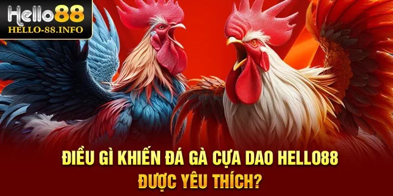 Điều gì khiến đá gà cựa dao Hello88 được yêu thích?