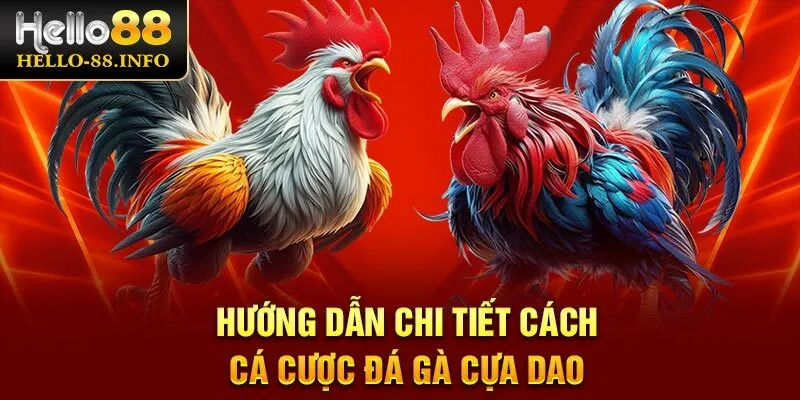 Hướng dẫn lính mới chi tiết cách cá cược đá gà cựa dao