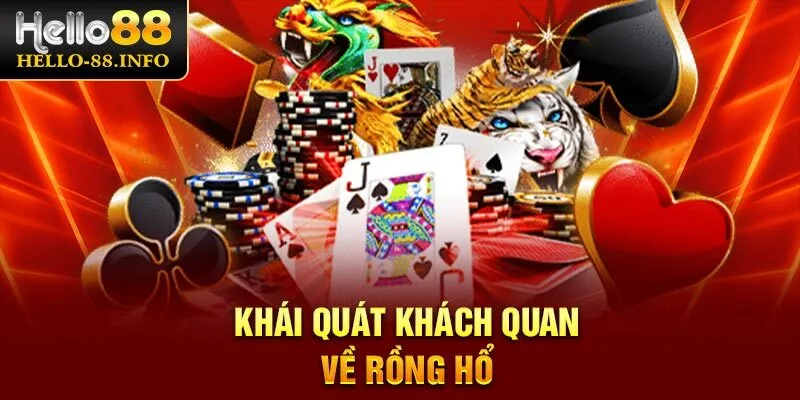 Khái quát khách quan về rồng hổ