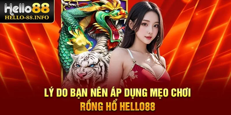 Lý do bạn nên áp dụng mẹo chơi rồng hổ Hello88