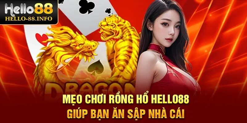 Mẹo Chơi Rồng Hổ Hello88 – Tips Thắng Đậm Cho Các Game Thủ