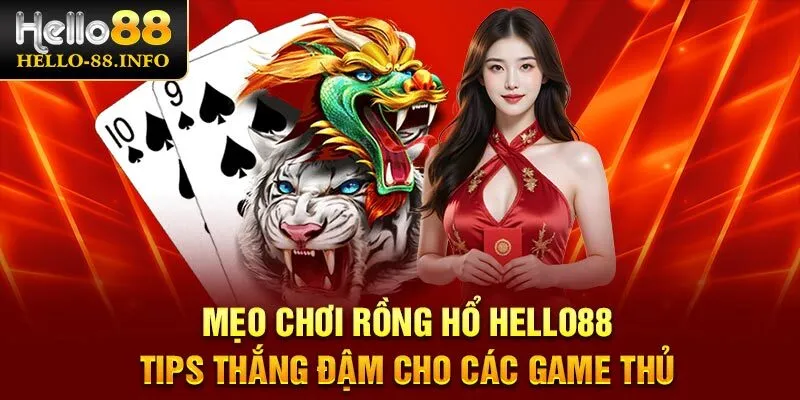 Mẹo chơi rồng hổ Hello88 giúp bạn ăn sập nhà cái