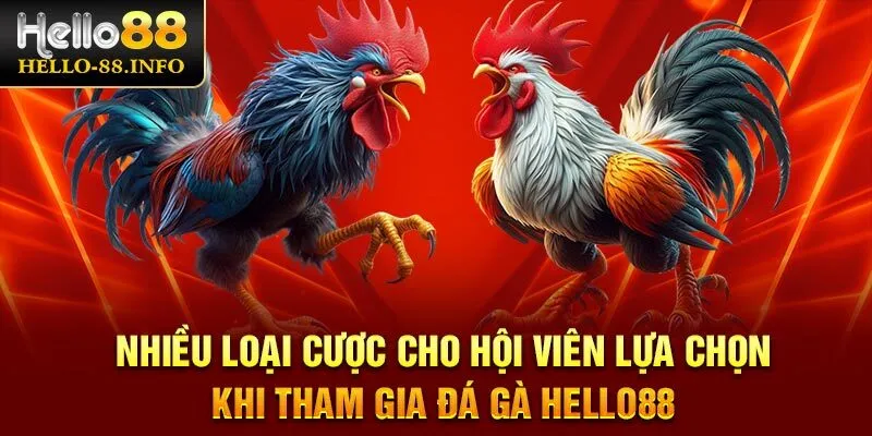 Nhiều loại cược cho hội viên lựa chọn khi tham gia đá gà Hello88