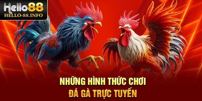 List hình thức chơi đá gà trực tuyến thường thấy